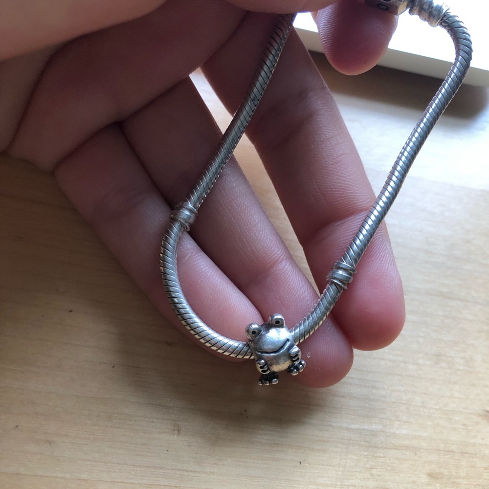 Frog Pandora Charm